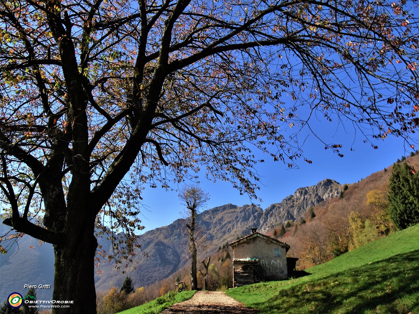 57 Passaggio alle cascine.JPG